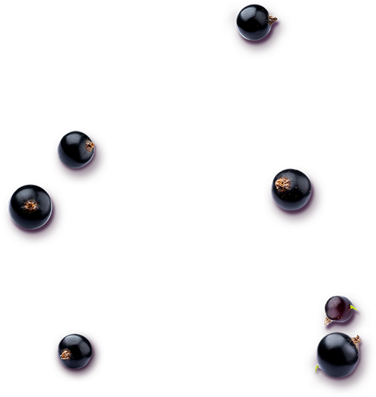 © Vinorella® Cuveé